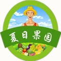 夏日果园 夏日果园